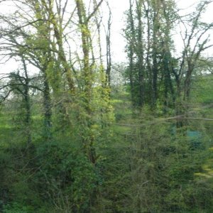 p1030056 fileminimizer