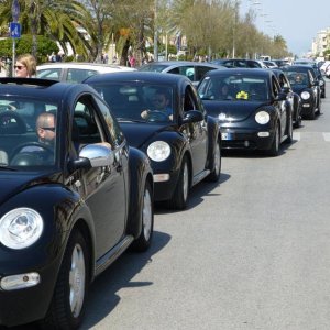 p1030121 fileminimizer