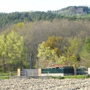 p1030061 fileminimizer