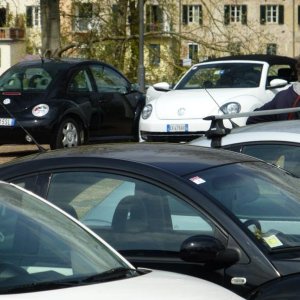 p1020977 fileminimizer