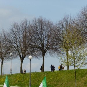 p1020963 fileminimizer