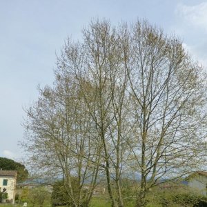 p1020996 fileminimizer