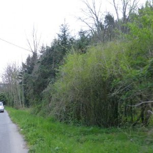 p1030049 fileminimizer