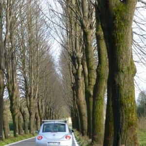 p1030055 fileminimizer