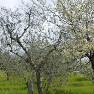 p1030016 fileminimizer