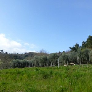 p1030040 fileminimizer