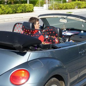 p1030080 fileminimizer