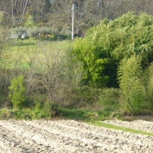 p1030060 fileminimizer