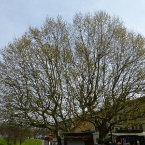 p1020964 fileminimizer