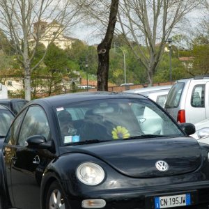 p1020989 fileminimizer