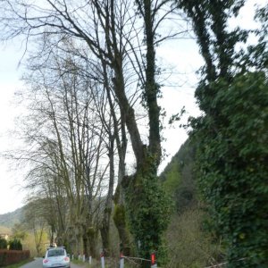 p1030051 fileminimizer