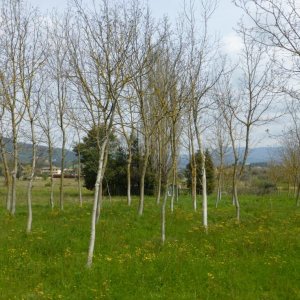 p1020997 fileminimizer