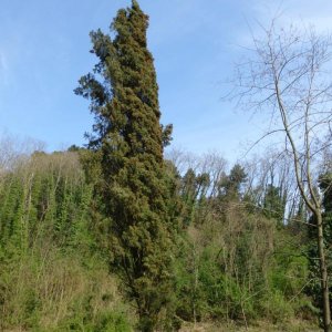 p1030037 fileminimizer