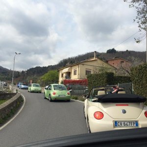 Raduno Lucca e Versilia primavera 2015