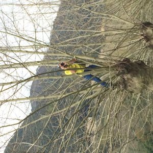 Raduno Lucca e Versilia primavera 2015