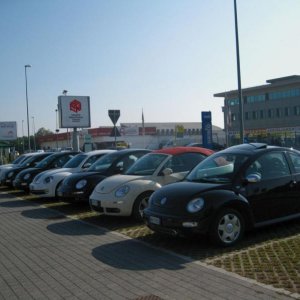 Raduno d'Autunno 2014 a Borghetto (VR)