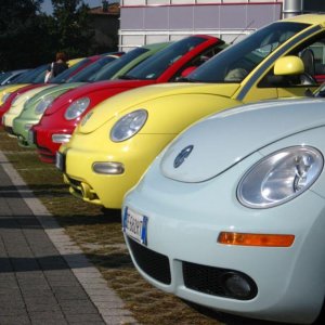 Raduno d'Autunno 2014 a Borghetto (VR)