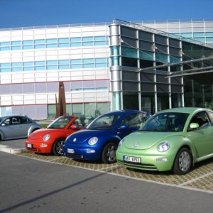 Raduno d'Autunno 2014 a Borghetto (VR)