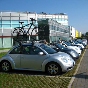 Raduno d'Autunno 2014 a Borghetto (VR)