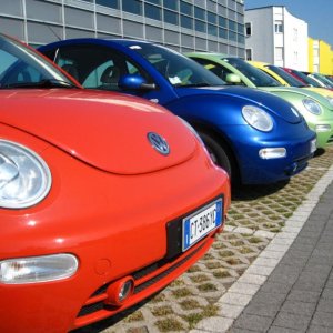 Raduno d'Autunno 2014 a Borghetto (VR)