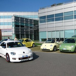 Raduno d'Autunno 2014 a Borghetto (VR)