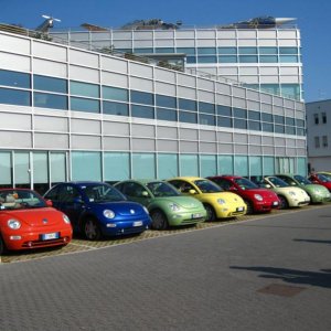 Raduno d'Autunno 2014 a Borghetto (VR)