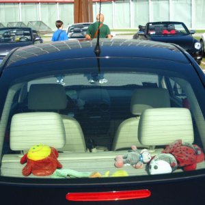 Raduno d'Autunno 2014 a Borghetto (VR)