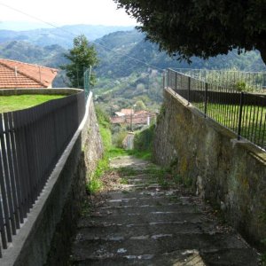 Raduno di Primavera 2015 a Lucca e Versilia