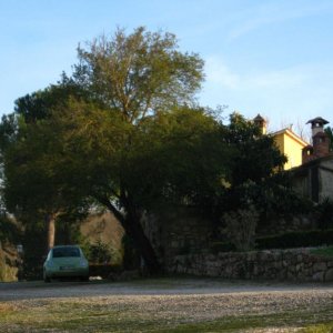 Raduno di Primavera 2015 a Lucca e Versilia