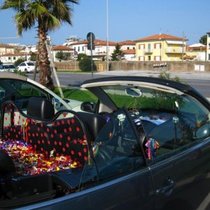 Raduno di Primavera 2015 a Lucca e Versilia