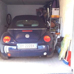 11034278 737229679744766 6796981619596345037 n