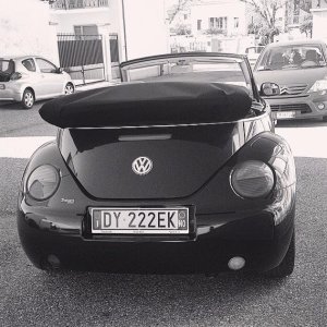 10632665 750543498413384 3848664832876839738 n