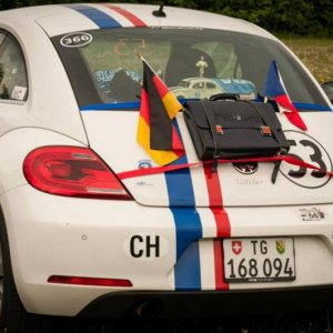 13th International Beetle Meeting in Czech Republic (spring event)