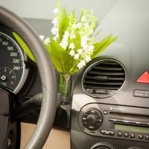 13th International Beetle Meeting in Czech Republic (spring event)