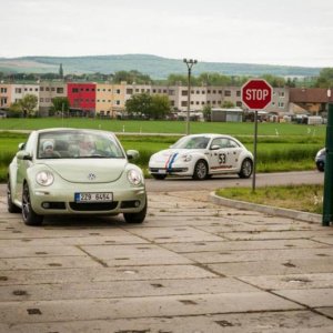 13th International Beetle Meeting in Czech Republic (spring event)