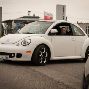 13th International Beetle Meeting in Czech Republic (spring event)