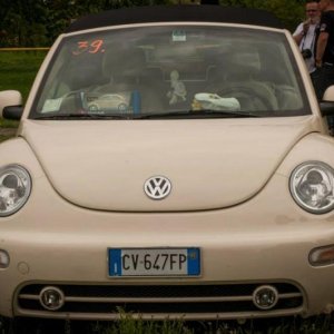 13th International Beetle Meeting in Czech Republic (spring event)