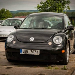 13th International Beetle Meeting in Czech Republic (spring event)