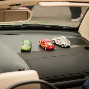 13th International Beetle Meeting in Czech Republic (spring event)