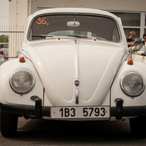 13th International Beetle Meeting in Czech Republic (spring event)