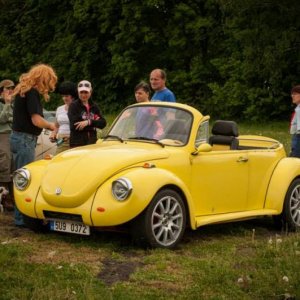 13th International Beetle Meeting in Czech Republic (spring event)