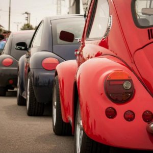 13th International Beetle Meeting in Czech Republic (spring event)