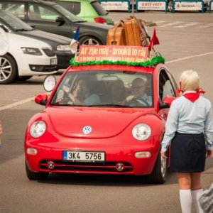 13th International Beetle Meeting in Czech Republic (spring event)