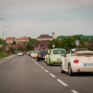 13th International Beetle Meeting in Czech Republic (spring event)