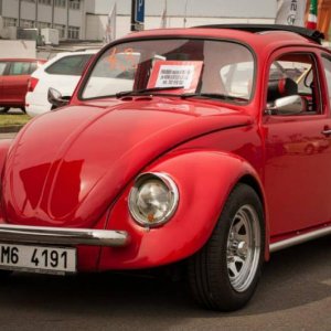 13th International Beetle Meeting in Czech Republic (spring event)