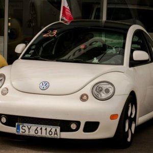 13th International Beetle Meeting in Czech Republic (spring event)