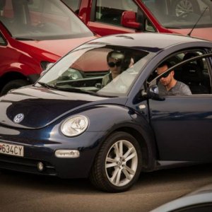 13th International Beetle Meeting in Czech Republic (spring event)