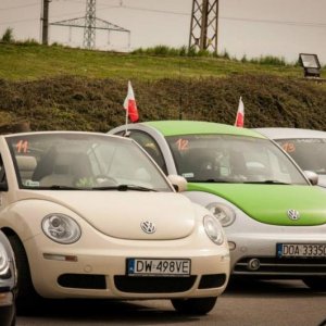 13th International Beetle Meeting in Czech Republic (spring event)