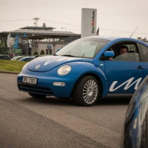 13th International Beetle Meeting in Czech Republic (spring event)