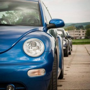 13th International Beetle Meeting in Czech Republic (spring event)